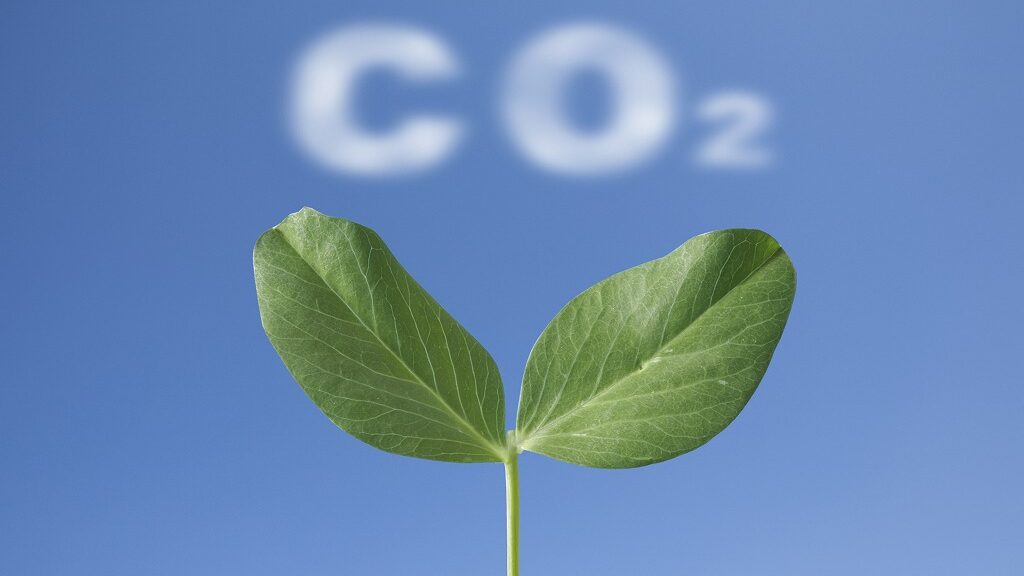 住宅からのCO2排出の現状とその削減に向けた取り組み