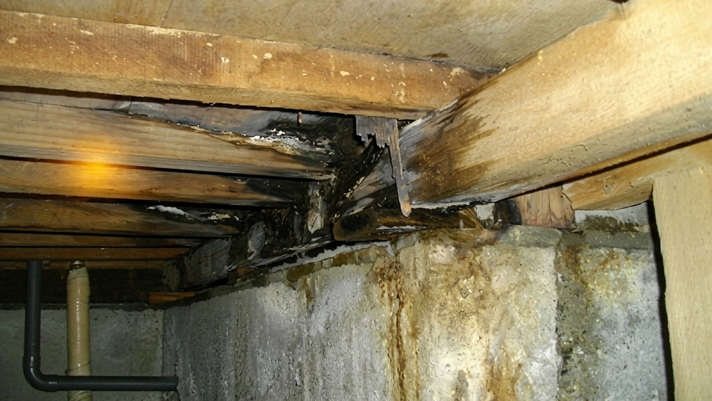 浴室から漏水して土台が腐食している。放置すると進行して強度が低下し、地震時の倒壊の原因となる。