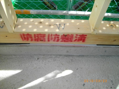 防腐・防蟻処理状況を土台・柱にスプレーされた表示で確認する。